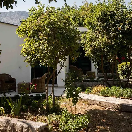 Unforgettable Retreat 8 Bedrooms Peljesac Majestic Tranquil *