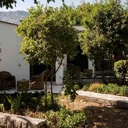 Unforgettable Retreat 8 Bedrooms Peljesac Majestic Tranquil Oasis With Private Pool Breathtaking Adriatic Views Villa Orebic